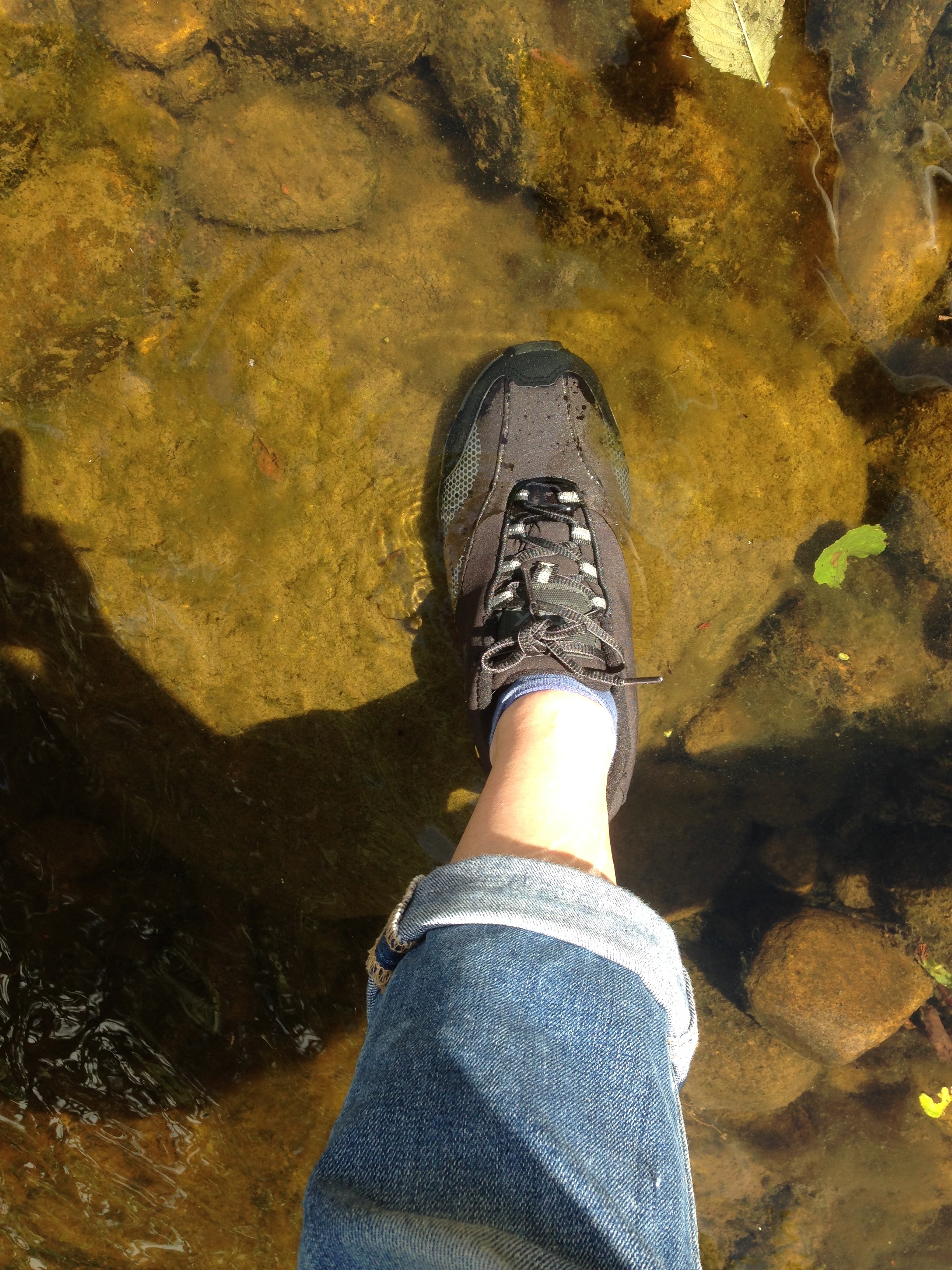 DLX trail shoe in water 
